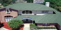 Shingle Roof 4